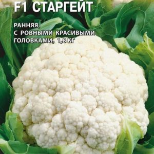 Капуста цветная Старгейт F1 10 шт.(Голландия) Н14
