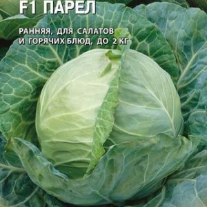 Капуста белокоч. Парел F1 10 шт. ранняя (Голландия) Н14
