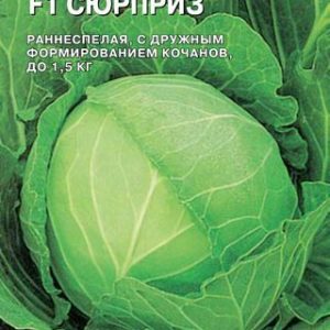 Капуста белокоч. Сюрприз F1 10 шт. ранняя (Голландия) Н14
