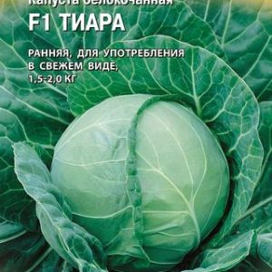 Капуста белокоч. Тиара F1 10 шт. ранняя (Голландия) Н14