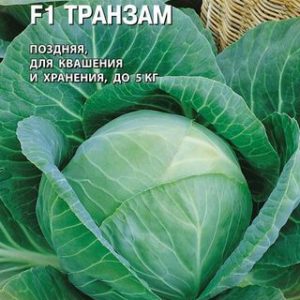 Капуста белокоч. Транзам F1 10 шт. для хранения (Голландия) Н14