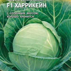 Капуста белокоч. Харрикейн F1 10 шт. для хранения (Голландия) Н14