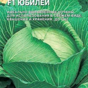 Капуста белокоч. Юбилей F1 10 шт. для хранения (Голландия) Н14