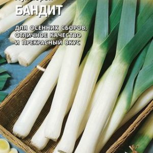 Лук порей Бандит 0,2 г (Голландия) Н13