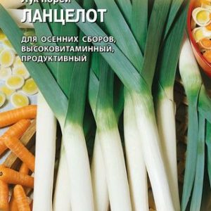Лук порей Ланцелот 0,2 г (Голландия) Н14