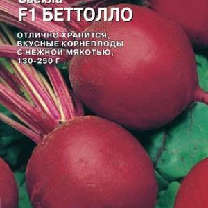 Свекла Беттолло F1 1,0 г (Голландия) Н14
