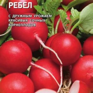 Редис Ребел 1,0 г (Голландия) Н14