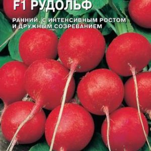Редис Рудольф 1,0 г (Голландия) Н14
