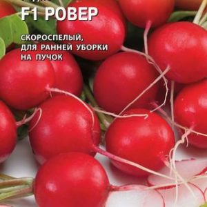 Редис Ровер 0,5 г (Голландия) Н14