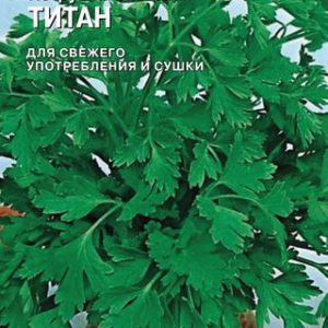 Петрушка листовая Титан 1,0 г (Голландия) Н14