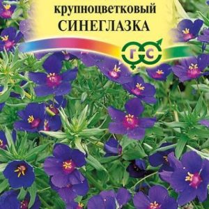 Анагалис Синеглазка* 0,1 г Н14