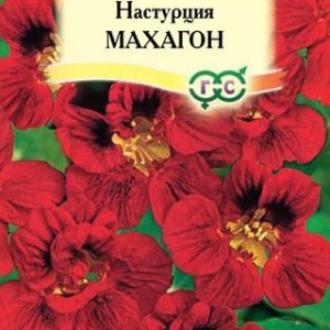 Настурция Махагон махр. 1,0 г Н13