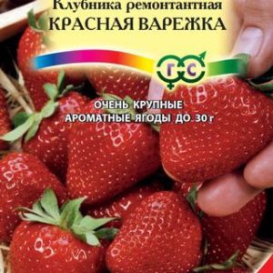 Земляника Красная варежка* 0,01 г Н13