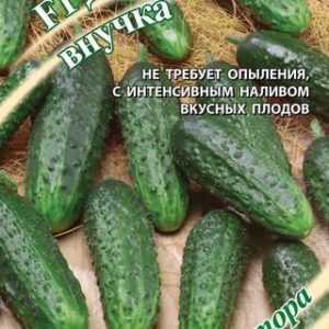 Огурец Дедушкина внучка F1 10 шт. автор. Н13