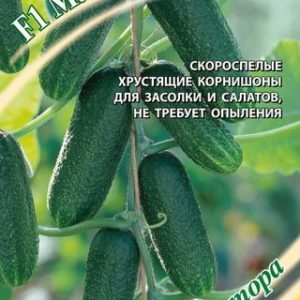 Огурец Малютка-Анютка F1 10 шт.корнишон автор. Н13