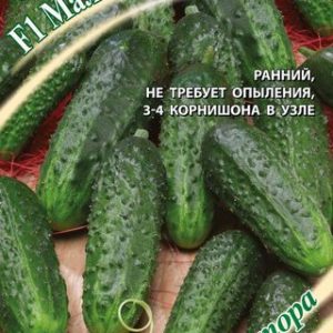 Огурец Малышок-крепышок F1 10 шт.корнишон автор. Н13