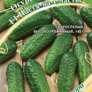 Огурец Настя-на-Счастье F1 10 шт.корнишон автор. Н13