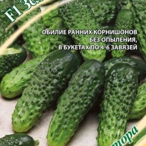 Огурец Зеленый экспресс F1 10 шт, автор. Н14
