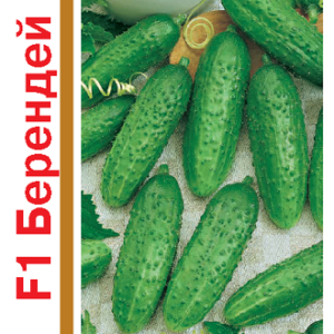 Огурец Берендей F1 серия 1+1/20 шт. автор. Н13