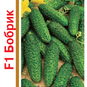 Огурец Бобрик F1 серия 1+1/20 шт.корнишон автор. Н13