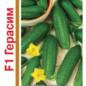 Огурец Герасим F1 серия 1+1/20 шт. корнишон автор. Н13