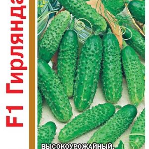 Огурец Гирлянда F1 серия 1+1/20 шт. автор. Н13