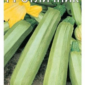 Кабачок Отличник F1 5 шт. (Германия) Н13