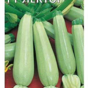 Кабачок Лектор F1 5 шт. (Германия) Н13