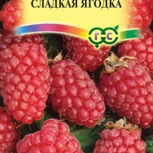 Малина Сладкая ягодка 10 шт. Н13
