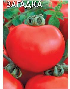 Томат Загадка 0,1 г Н13