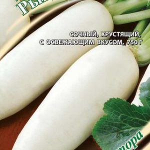 Дайкон Рыцарь 1 г автор. Н13