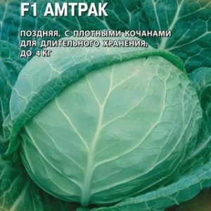 Капуста белокоч. Амтрак F1 10 шт. для хранения (Голландия) Н14