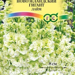 Дельфиниум супермахровый Новозеландский гигант лайм* 3 шт. Н13