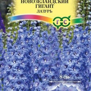 Дельфиниум супермахровый Новозеландский гигант лазурь* 3 шт. Н13