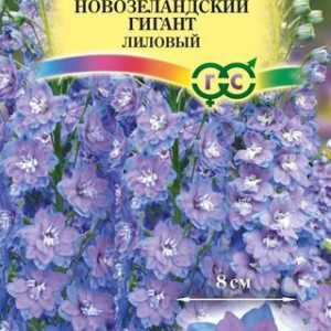 Дельфиниум махровый Новозеландский гигант лиловый * 3 шт. Н13