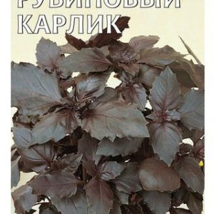 Базилик Рубиновый карлик 0,1 г Н13