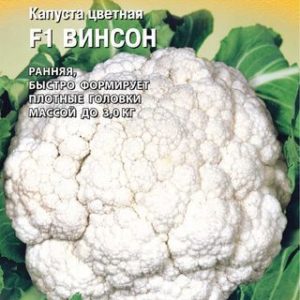 Капуста цветная Винсон F1 10 шт.(Голландия) Н14