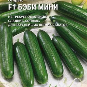 Огурец Бэби Мини F1 5 шт. (Голландия) Н14