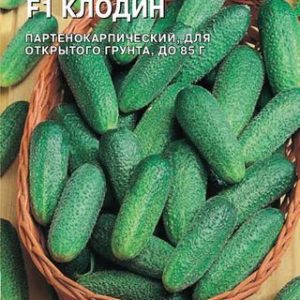 Огурец Клодин F1 8 шт. (Голландия) Н14