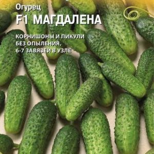 Огурец Магдалена F1 8 шт. (Голландия) Н14