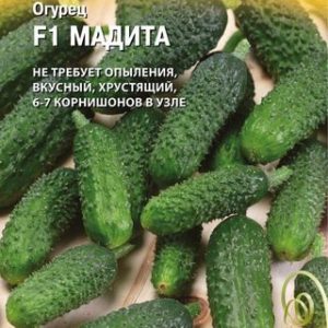 Огурец Мадита F1 8 шт. (Голландия) Н14