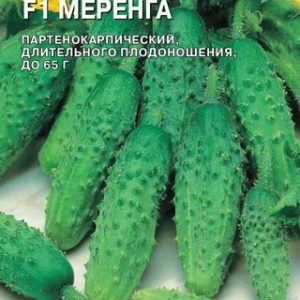 Огурец Меренга F1 8 шт. (Голландия) Н14