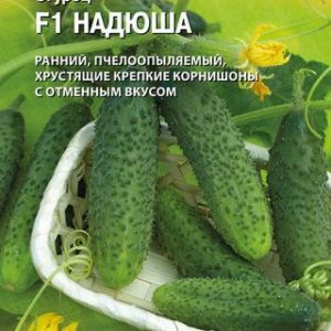 Огурец Надюша F1 8 шт. (Голландия) Н14