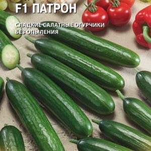 Огурец Патрон F1 8 шт. (Голландия) Н14