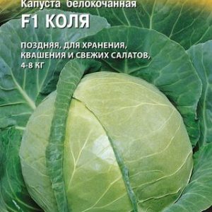 Капуста белокоч. Коля F1 10 шт. для квашения (Голландия)