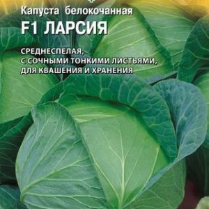 Капуста белокоч. Ларсия F1 10 шт. для квашения (Голландия)