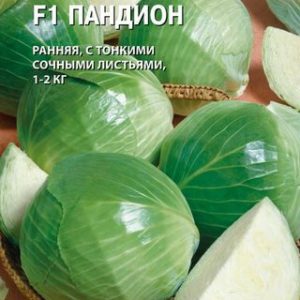 Капуста белокоч. Пандион F1 10 шт. для потр. в свежем виде (Голландия)