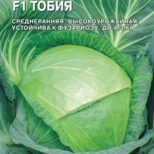 Капуста белокоч. Тобия F1 10 шт. для квашения (Голландия)