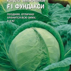 Капуста белокоч. Фундакси F1 10 шт. для хранения (Голландия)