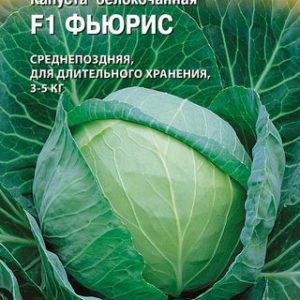 Капуста белокоч. Фьюрис F1 10 шт. для хранения (Голландия)